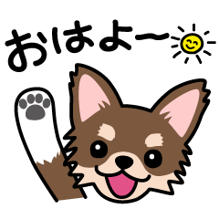 Lineスタンプ チワワ の完全一覧 全103種類